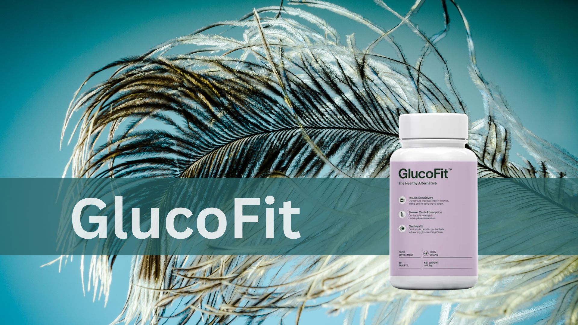 Glucofit reviews [UK] ✴️ my honest opinion • DataBio.eu