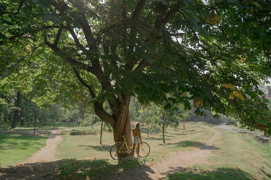 A person holding a lightbulb with a tree growing inside, representing reducing carbon footprint.